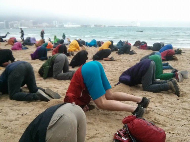 Wellington-heads-in-sand-close-up1.jpg