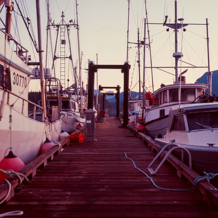 tofino_film_hasselblad-11.jpg