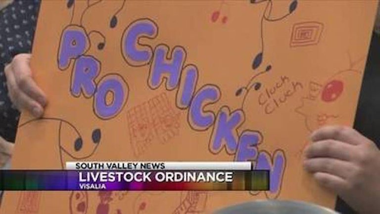 5801786-Visalia-Leaders-Say-No-To-Chicken-Ordinance.jpg