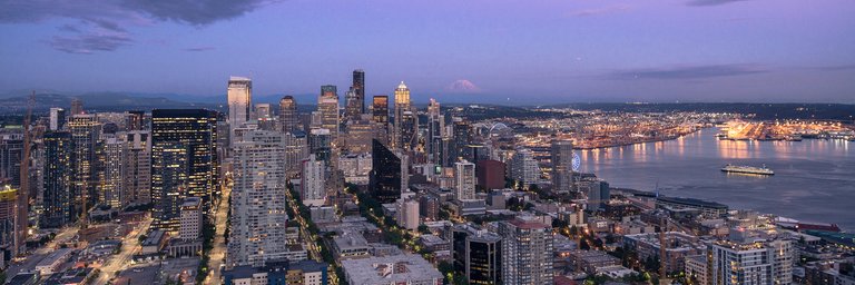 Seattle Skyline (1 of 1).jpg