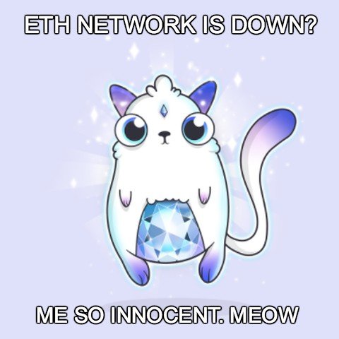 cryptokitten.jpg