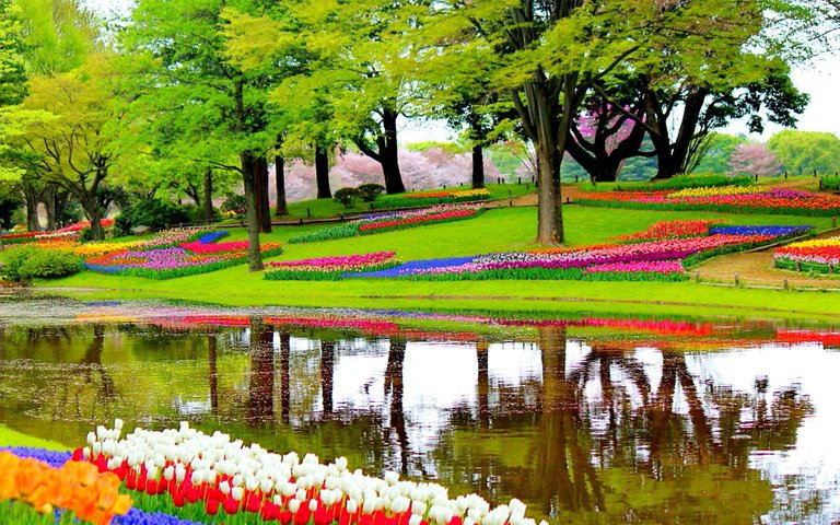 garden-of-europe-in-lisse-netherlands.jpg