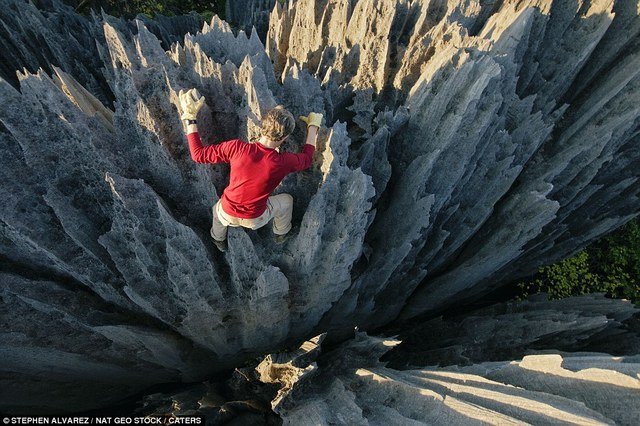 stone-forest-5_2-1.jpg