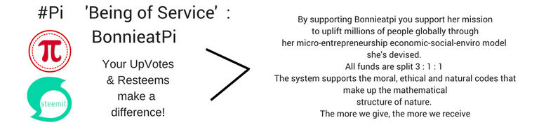 support #Pi through Steemit.png