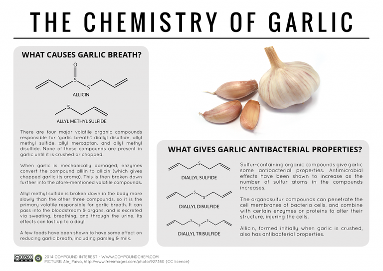 chem-of-garlic.png