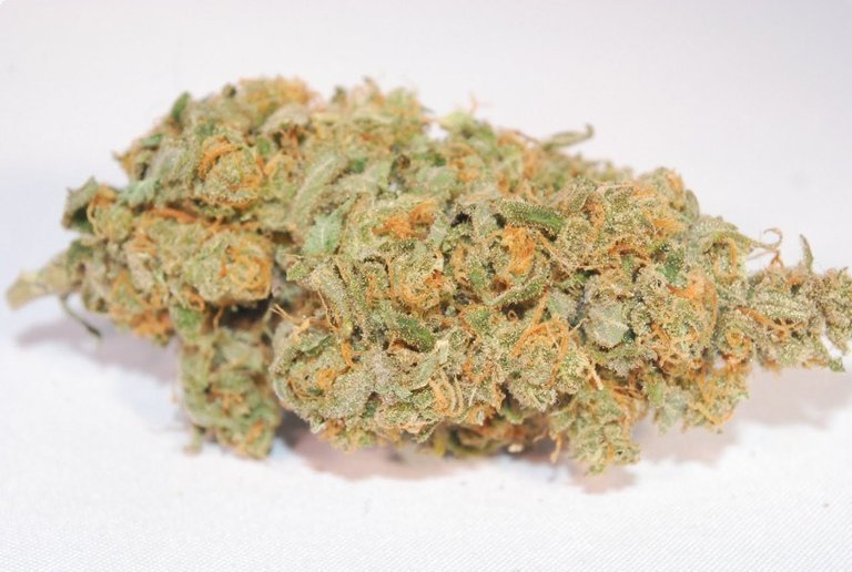 Super-Lemon-Haze-Marijuana-Strain.jpg