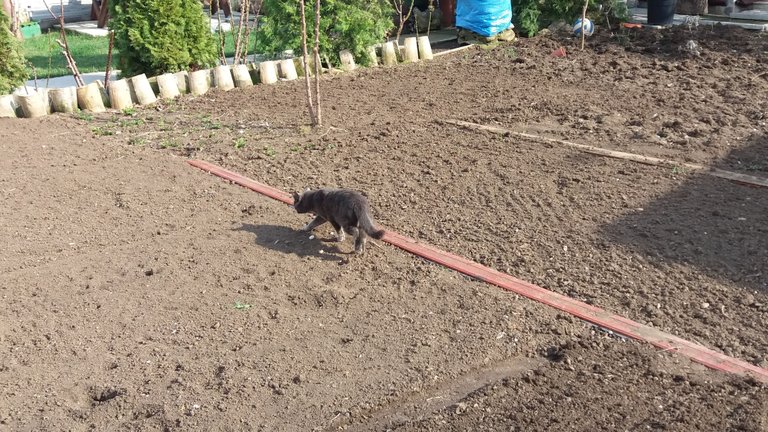 20180315_151201.jpg