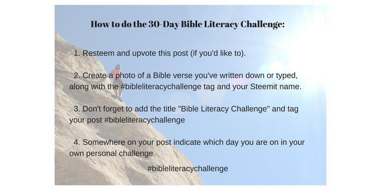 Bible literacy challenge how to.png