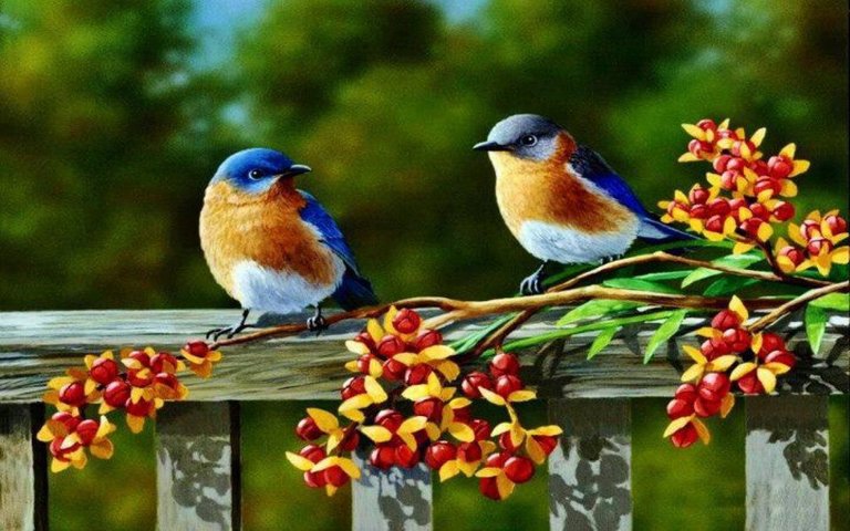 birds-blue-bird-beauty-nice-photos.jpeg