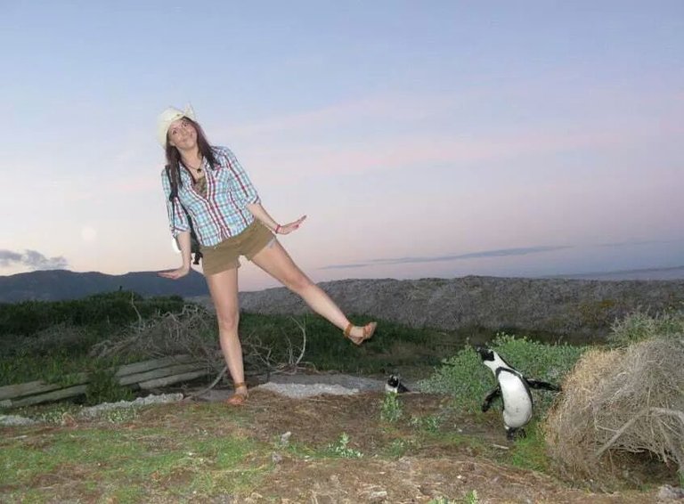 Penguins are human friends.jpg