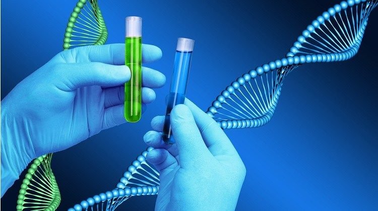 genes-genetic-DNA-paternity-Stockfresh.jpg