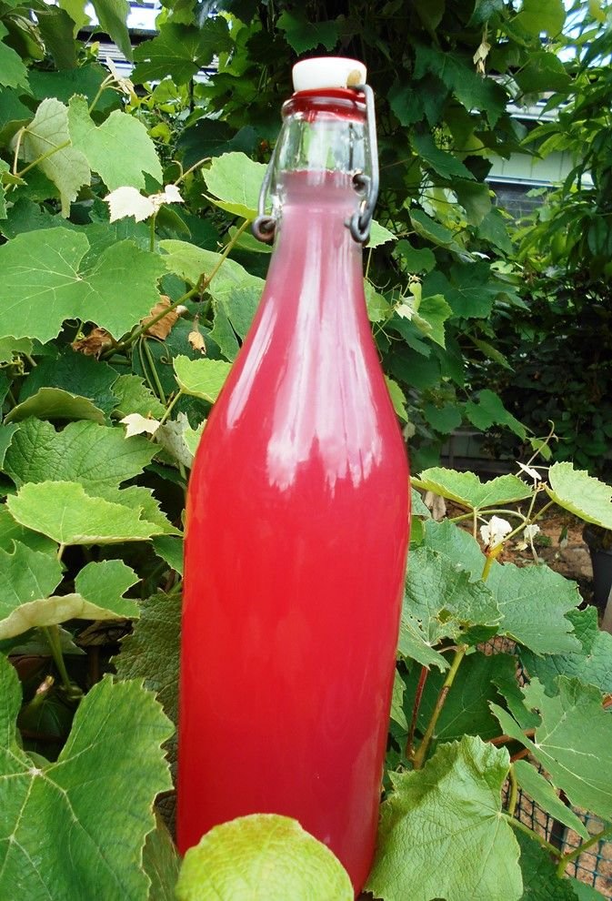 Lavender Rose Vinegar.JPG