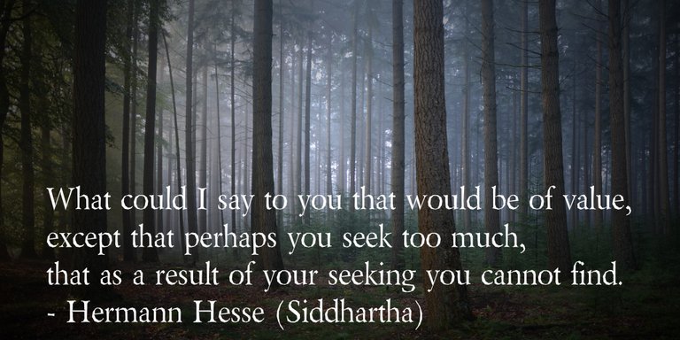 hermann-hesse-quote.jpg