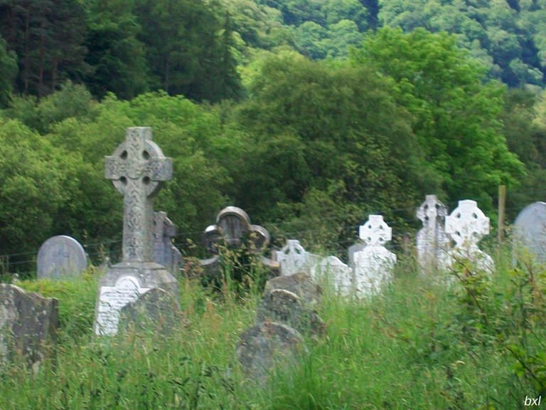 Ancient Irish Cemetery Overgrown Thursday Green Bxlphabet.jpg