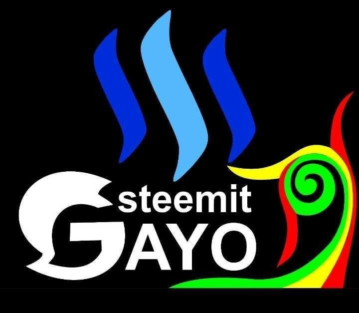 steemit gayo.jpg