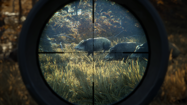 screenshot-wild-boars-scope.png