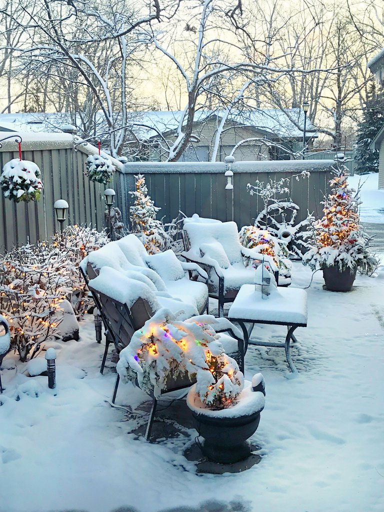 Snow Christmas Yard 2017.jpg