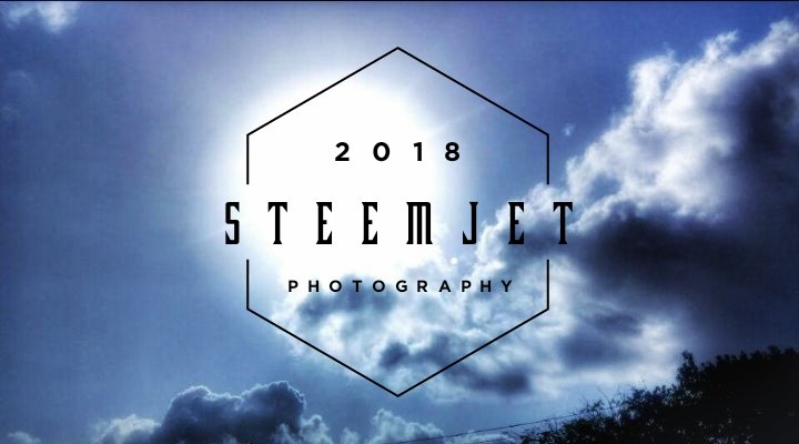 Steem Photography.jpg