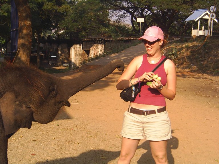 Erin & Baby Elephant.JPG