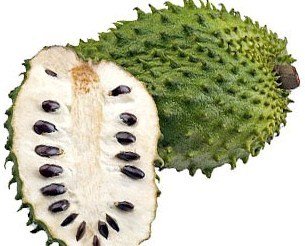 soursop.jpg