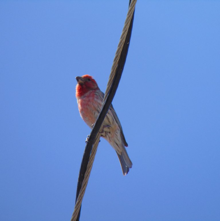 DSC01360.JPG