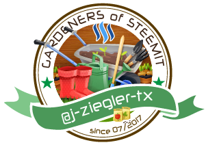 Steemit-Gardener-j-ziegler-tx.png