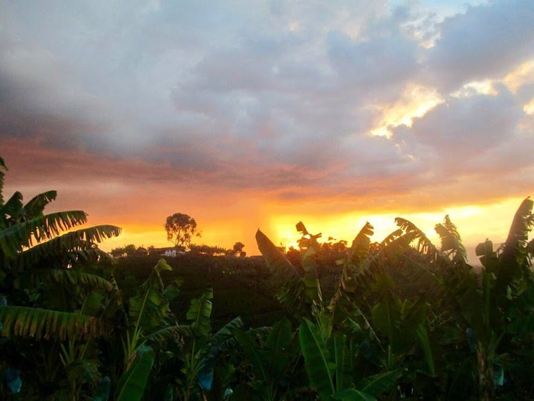 ATARDECER #QUINDIO.jpg