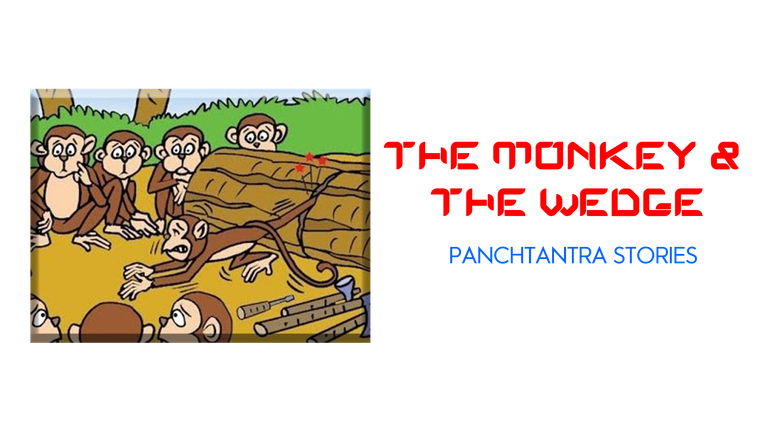 Monkeyled-1.png