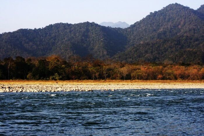 The-manas-river-of-Manas-National-park.jpg