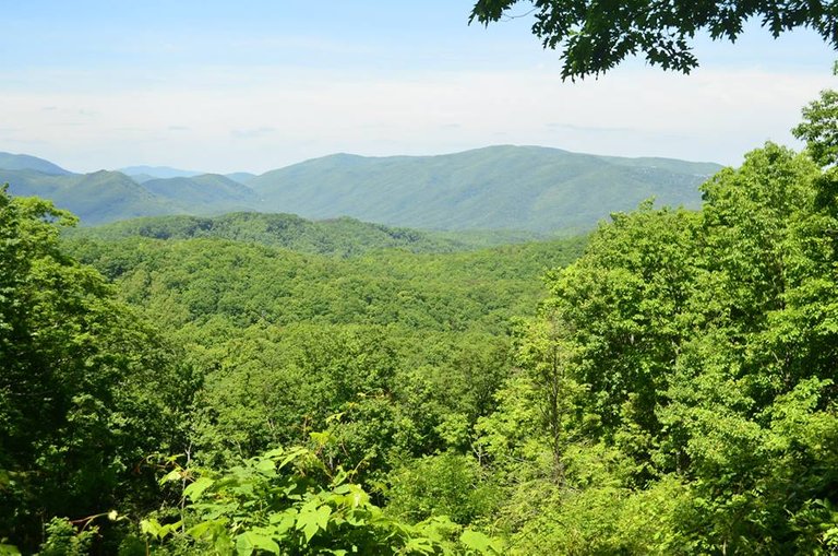 Great Smoky Mountains National Park.18.jpg