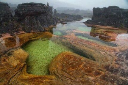 gran sabana 1.jpg