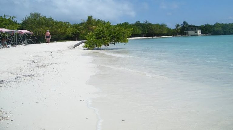 venezuela-cayo-playuela-beach-water-edge.jpg