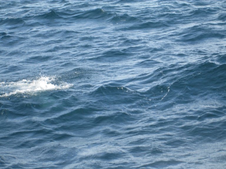 IMG_0686.JPG