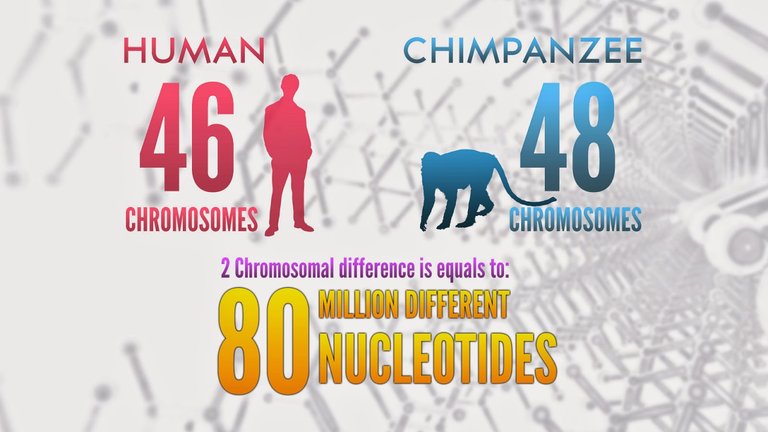 Nucleotides_Enhanced.jpg