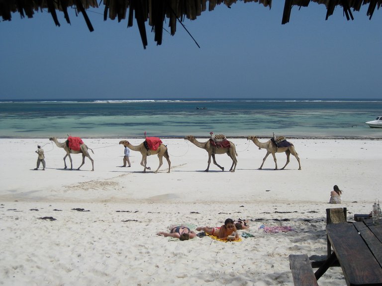 mombasa_beach.jpg