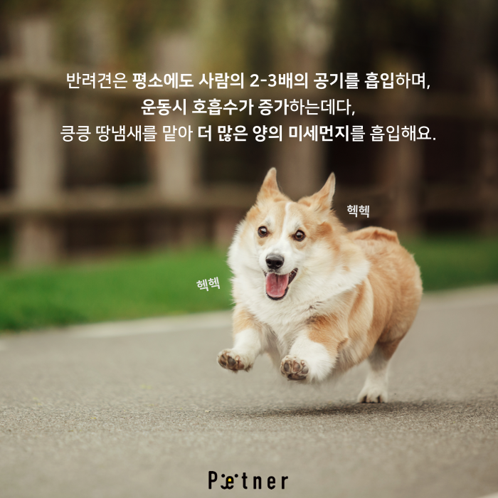 미세먼지4.png