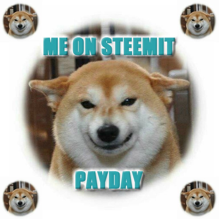 steemitpayday1.jpg