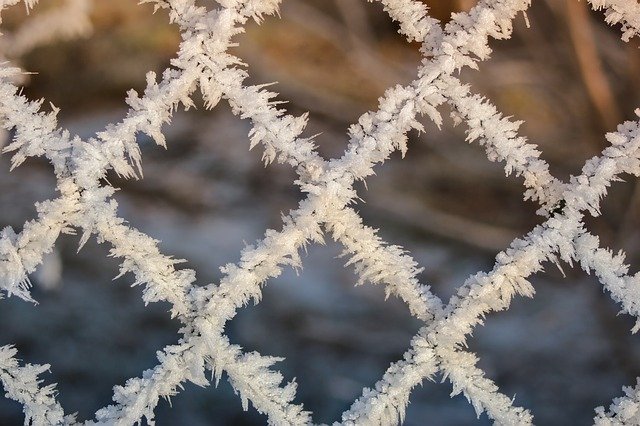 winter frost on fence.jpg