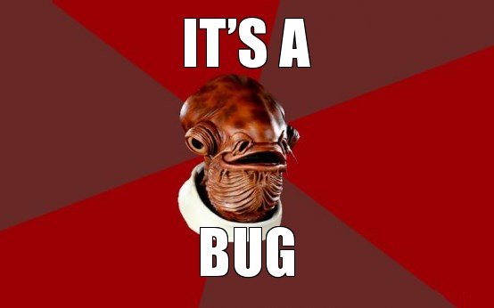 its-a-bug.jpg