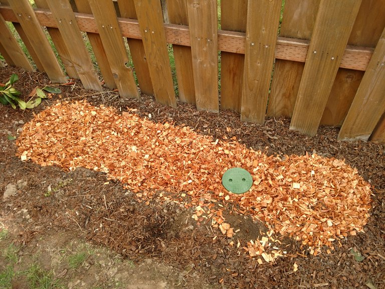 L2L Mulch Basin One.jpg