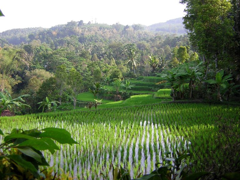 Foto-Pemandangan-Alam-Pedesaan-Terbaru-2017-1.jpg