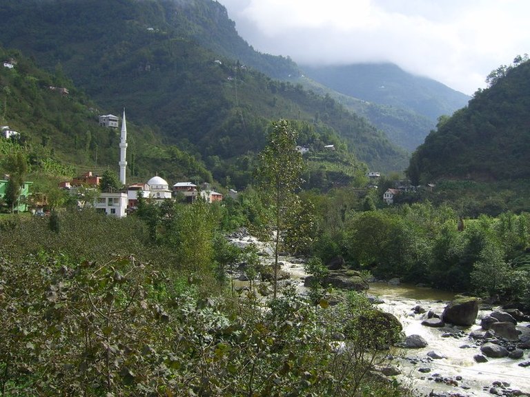 Nijhuis-The-Whistled-Language-of-Northern-Turkey-2.jpeg