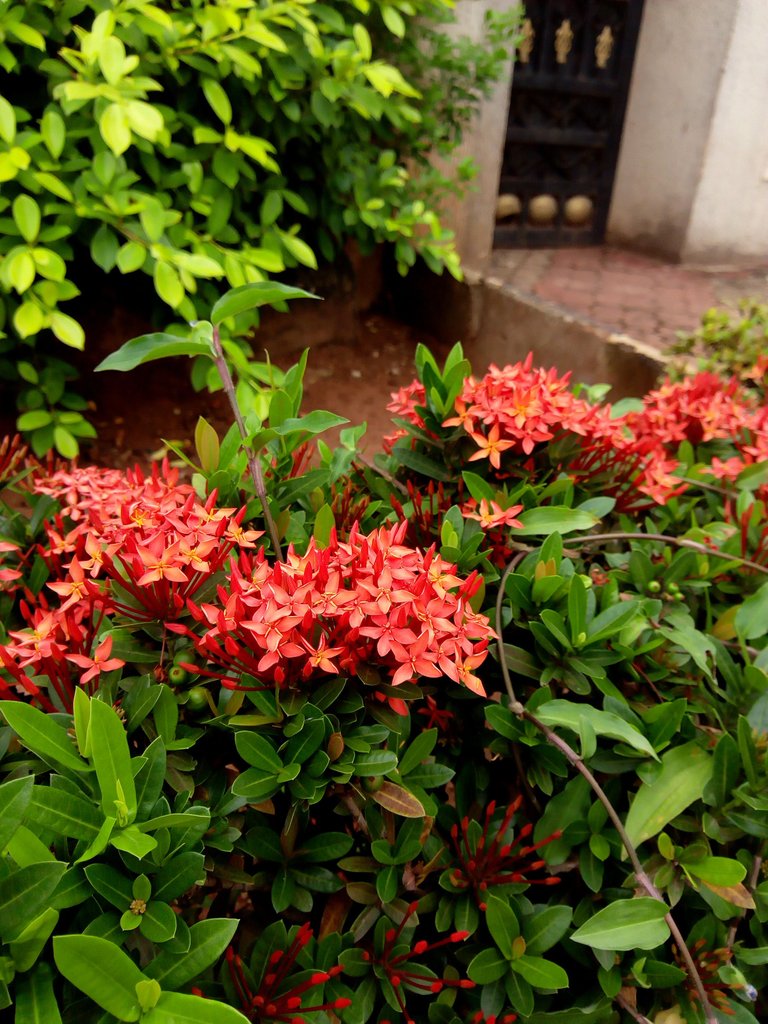 IMG_20180505_125914.jpg