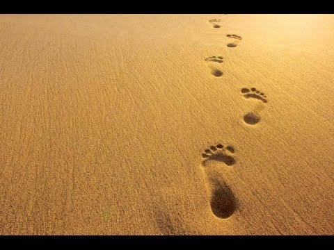 Footprints.jpg