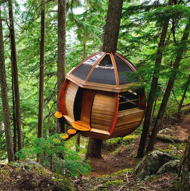 4-tree-house-cool.preview.jpg