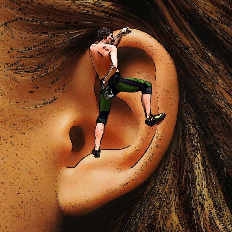 earclimber vierkant goed.jpg