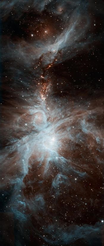 Orion Nebula_dreamy stars.jpg