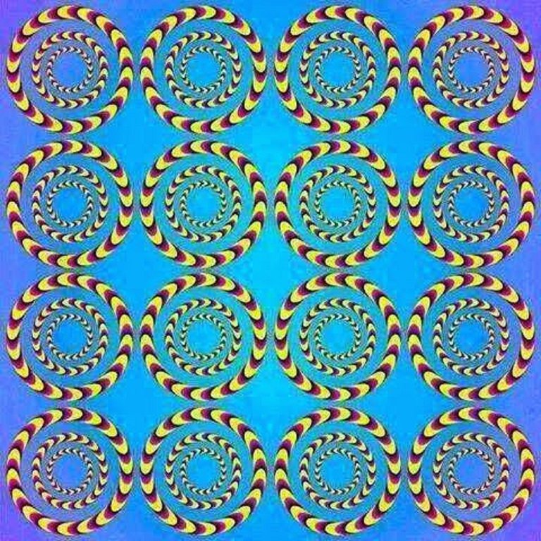 Concentric Circles Optical Illusion.jpg