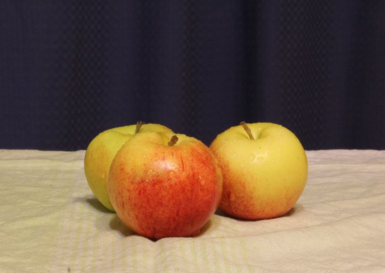 apple_still_life_normal_light_scaled.jpg