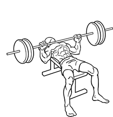 Bench-press.png